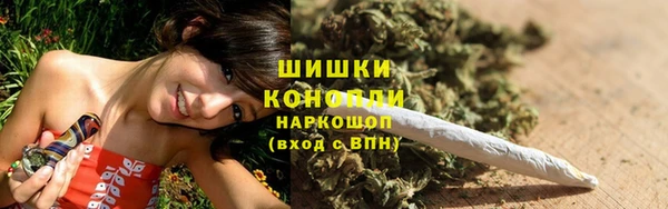 амф Дмитриев