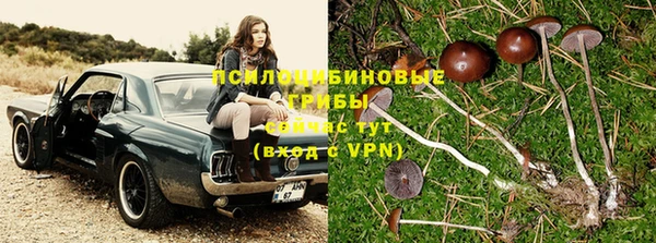 альфа пвп Гусев