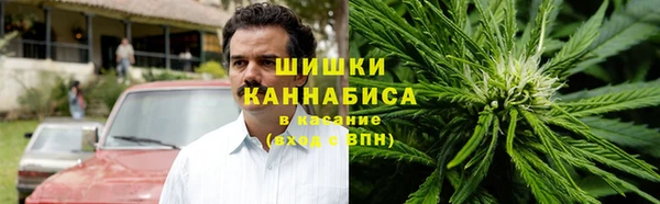 альфа пвп Гусев