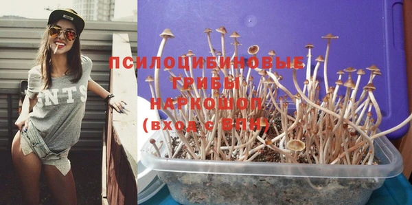 амф Дмитриев